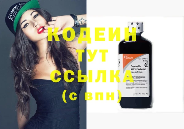 прущие грибы Балахна