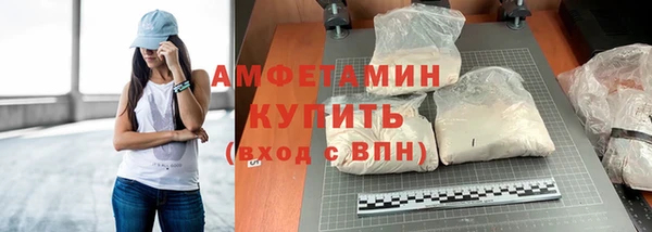 прущие грибы Балахна