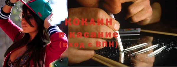 прущие грибы Балахна