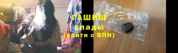 прущие грибы Балахна