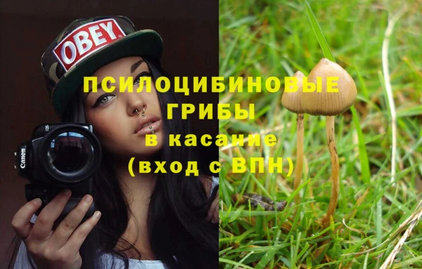 прущие грибы Балахна